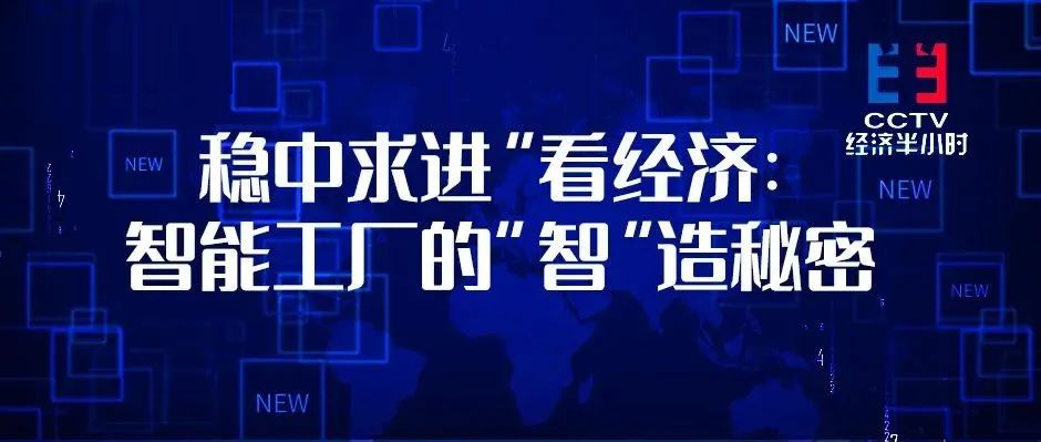 央视“打卡”！借力树根互联，这座工厂人均产值超1000万